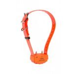 Pack Canicom 1000 orange pour 2 chiens